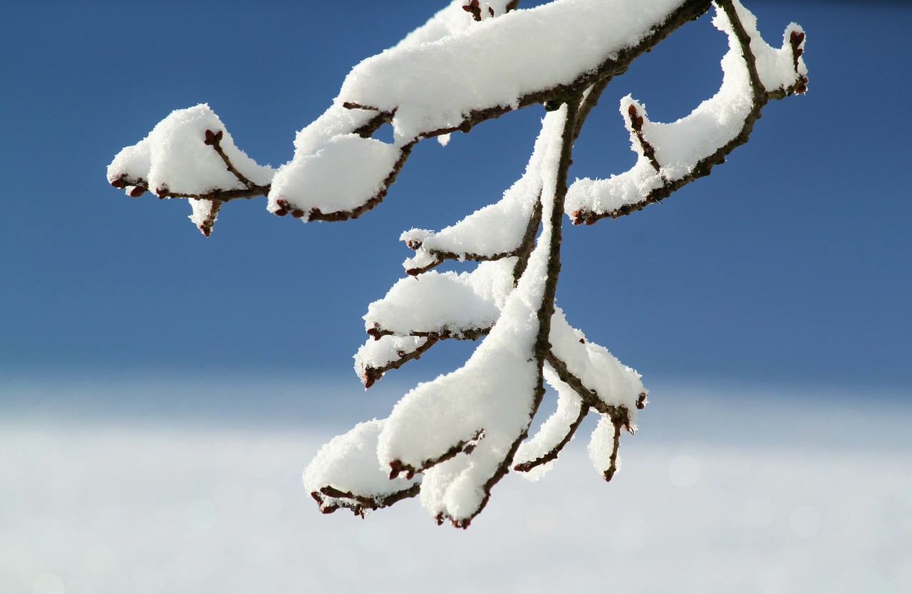 冬の結露と夏の暑さを解消する窓見直しのポイントは？