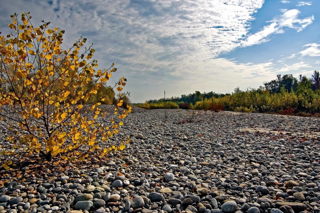 サッシの劣化を見極めるための点検方法は？