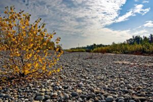 サッシの劣化を見極めるための点検方法は？