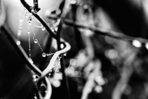 結露による水滴の発生を防ぐカビ対策は？