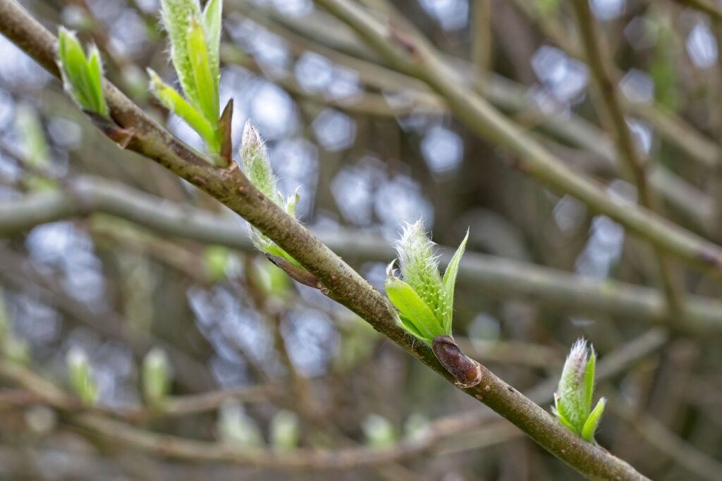 隙間風の原因を簡単にチェックする方法は？