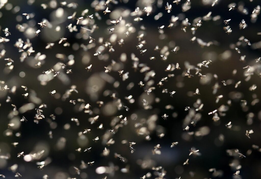 窓断熱リフォームのROI計算方法とは？