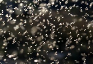 窓断熱リフォームのROI計算方法とは？