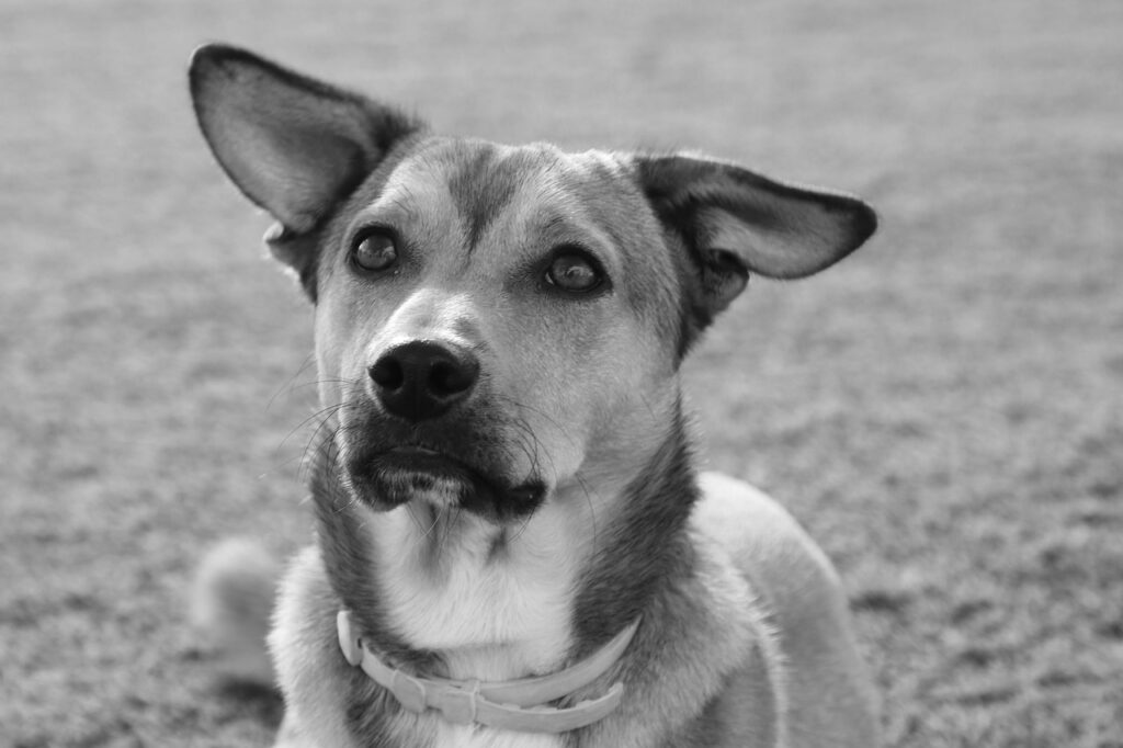 注意点をまとめた効果的なSEO対策とは？