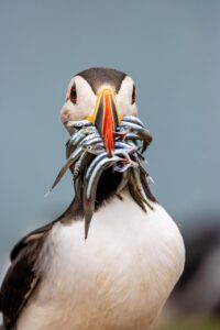 方角別のシミュレーションで知る最適な旅行プランは？