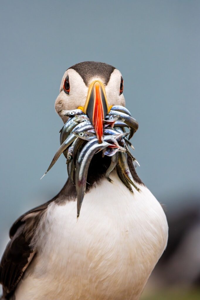 方角別のシミュレーションで知る最適な旅行プランは？