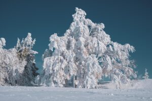 断熱リフォームで冬の寒さ対策はどうするべき？