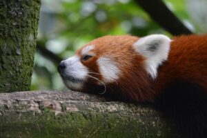 西日による暑さ対策にはどんな方法がある？