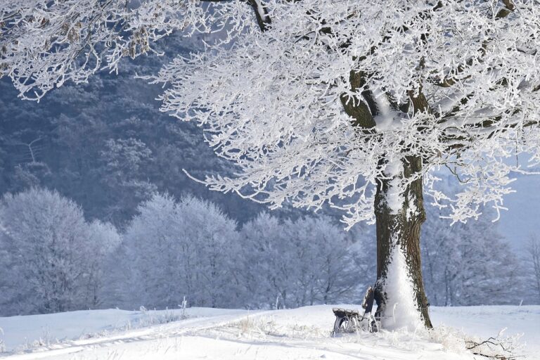 窓の断熱効果を高めるカーテンは冬に必要？